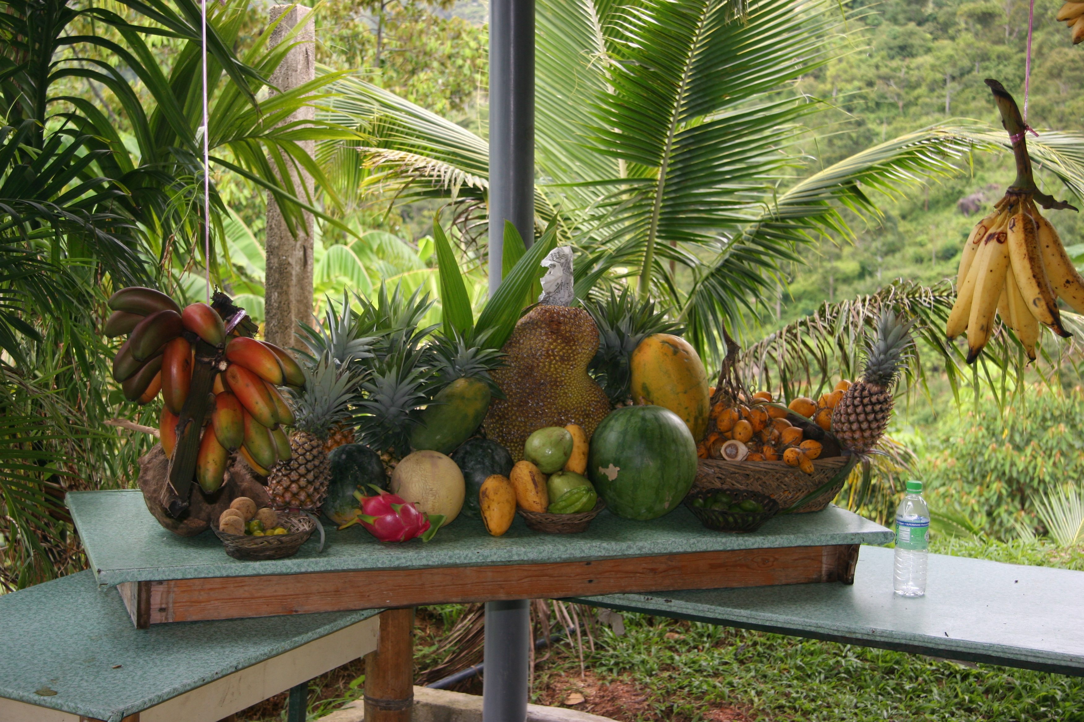 Экзотические страны какие. Манго на Бали. Бананы на Бали. Тропические фрукты. Экзотика фрукты.