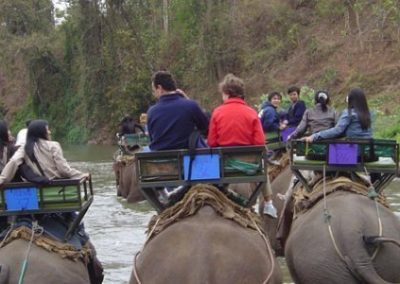 سفاري الغابة وركوب الأفيال , شيانغماي