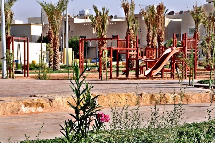 أنشطة في حديقة الصفا دبي الامارات