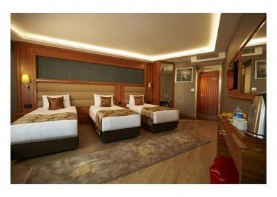 فندق إقبال الديلوكس إسطنبول Iqbal Delux Hotel Istanbul