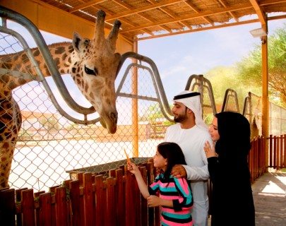 اهم ألانشطة في حديقة حيوانات العين أبو ظبي