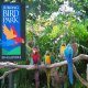 جولة سياحية فى حديقة جورونج للطيور