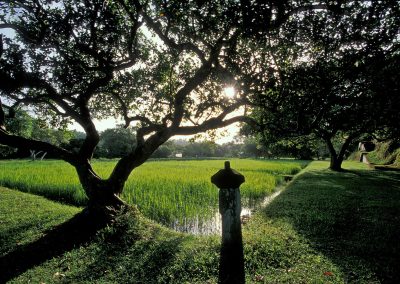 الحديقة الطبيعية لونوجانجا سريلانكا