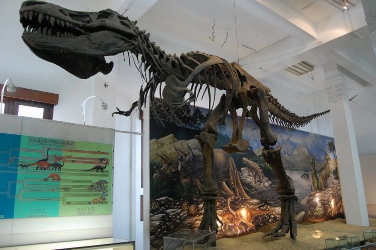 متحف الجيولوجيا في مدينة باندونج