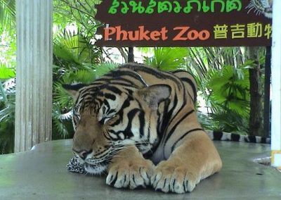 Phuket-Zoo