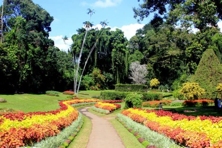الحديقة النباتية الملكية كاندي سريلانكا