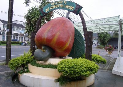 cashew nut factory