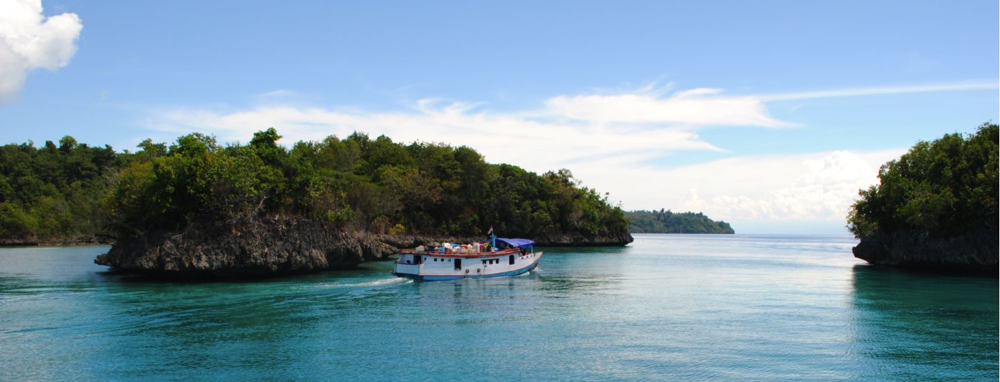 السياحة و الغوص في جزيرة توجيان