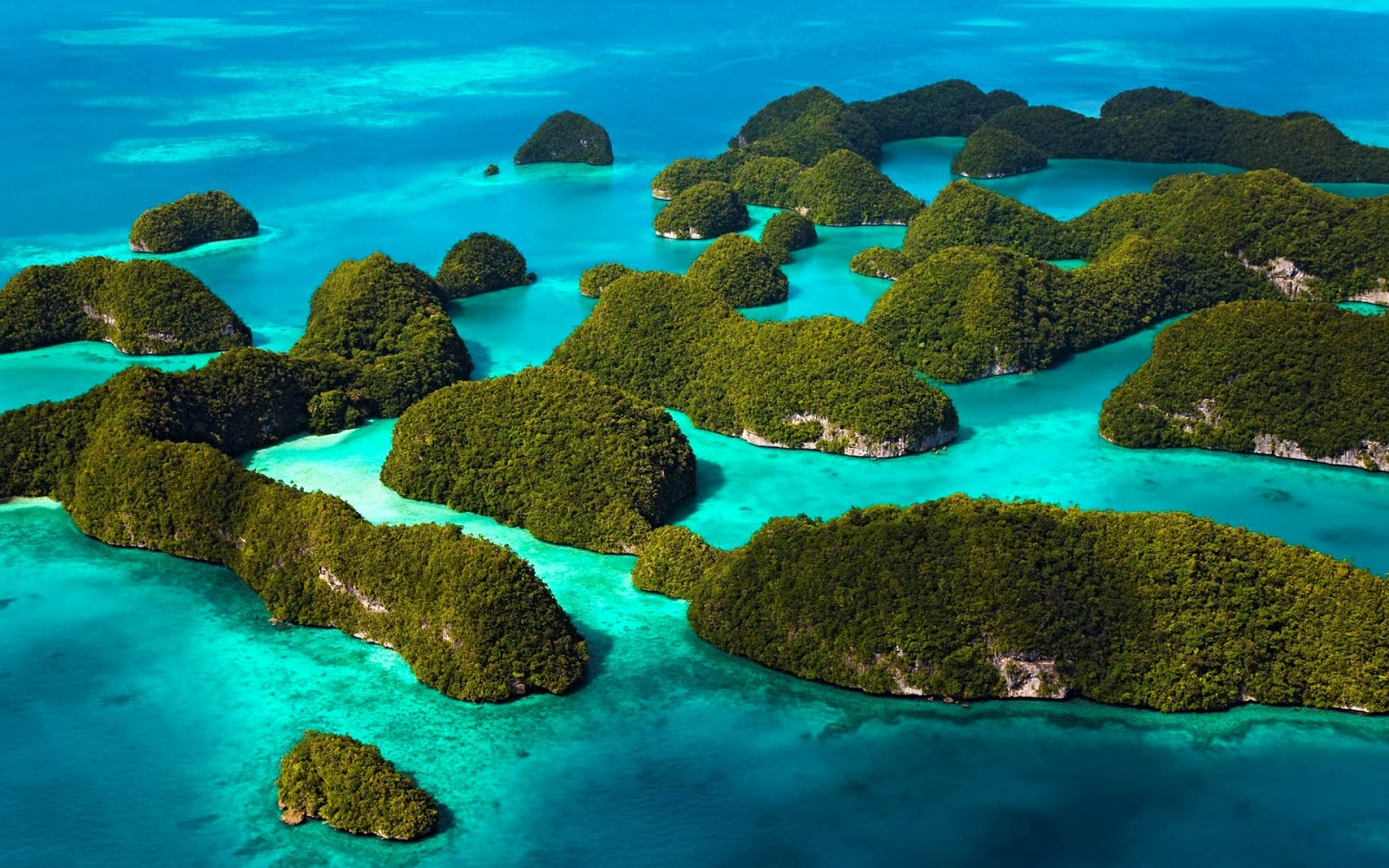 أروع الجزر في أندونيسيا جزر الملوك