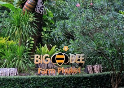 big-bee-farm