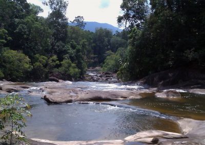افضل المنتزهات والمحميات الوطنية في ماليزيا