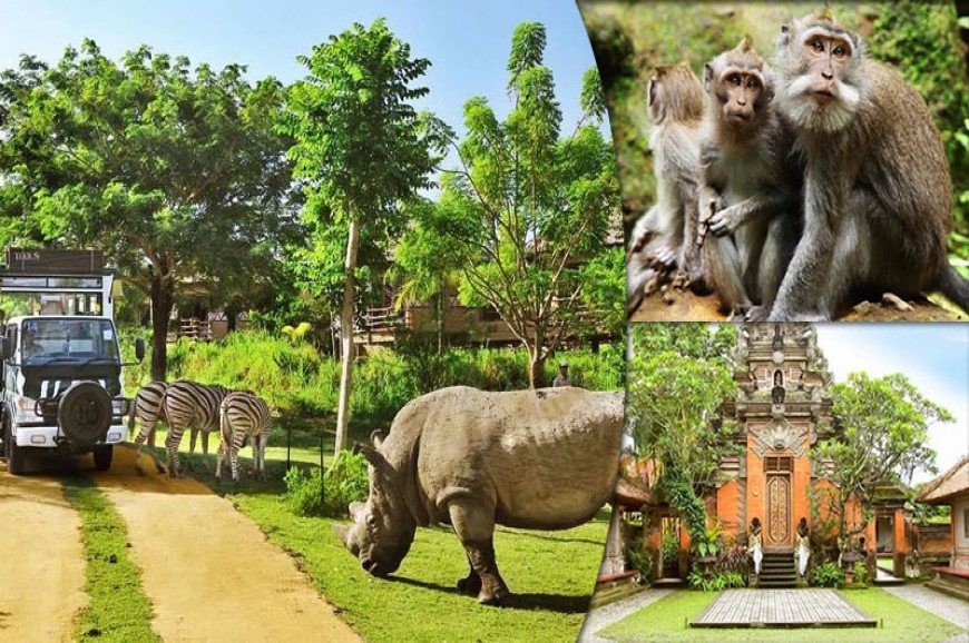 حديقة الحيوان في بالي اندونيسيا