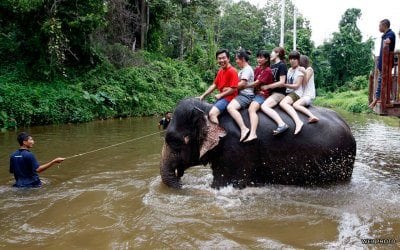 جولة محمية الفيلة اليتيمة‬‎ ماليزيا