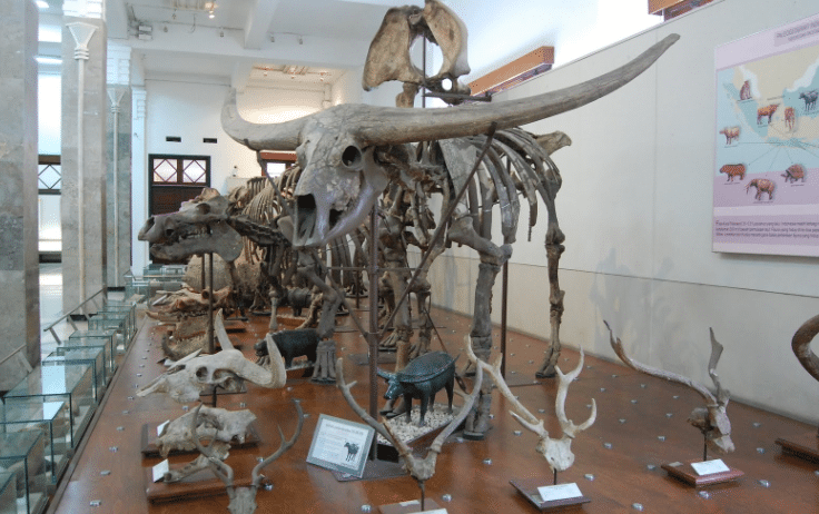متحف الجيولوجيا في مدينة باندونج