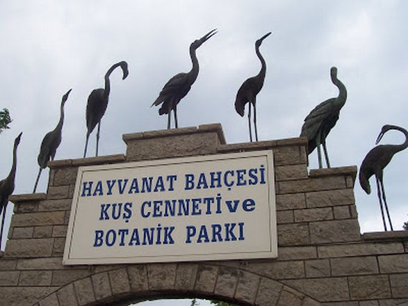 أنشطة في جنة الطيور في ازمير تركيا