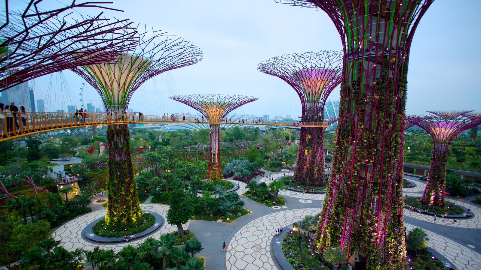 أفضل 10 أنشطة في حدائق الخليج في سنغافورة