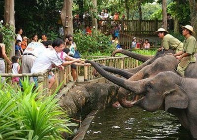 حديقة الحيوانات فى سنغافورة