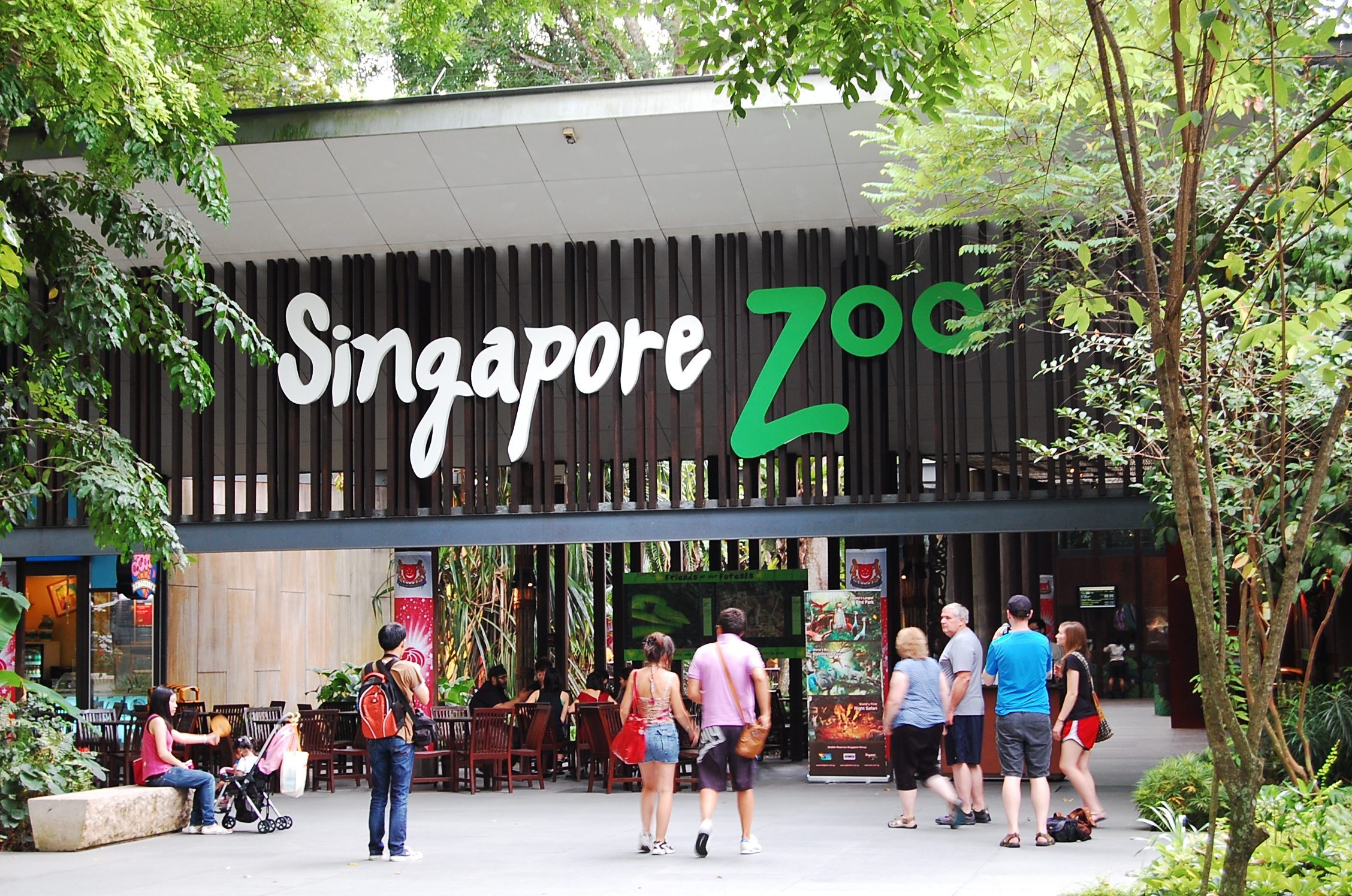 أفضل 10 أنشطة في حديقة حيوانات سنغافورة