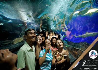 حديقة عالم تحت الماء فى سنغافورة