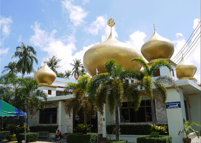 مسجد دينيا نيورت