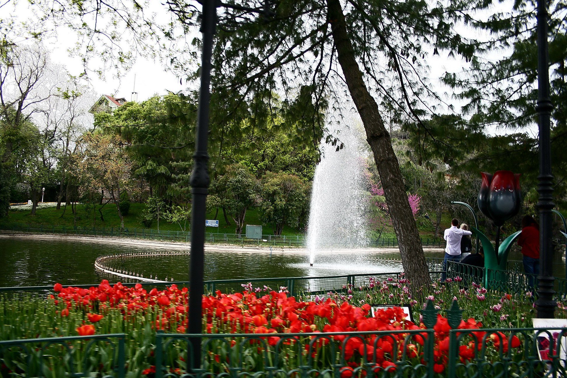أنشطة في حديقة يلدز اسطنبول تركيا
